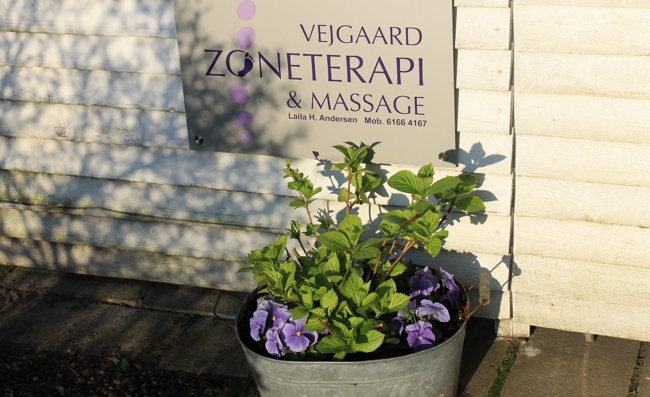 Vejgaard zoneterapi yderlser